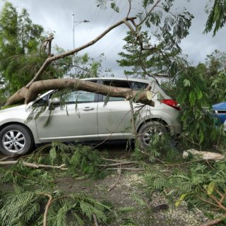 Broken tree fallen on top of parking car,damaged car after super typhoon Mangkhut in China